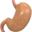 C Stomach.png